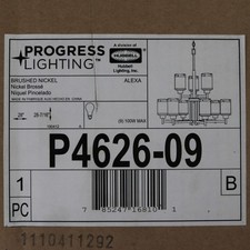 Progress Lighting P4626-09 Alexa 9-Light 28W ...