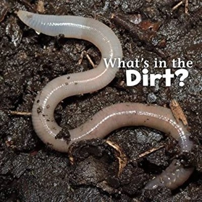 What's in the Soil? Paperback Martha E. H. Rustad