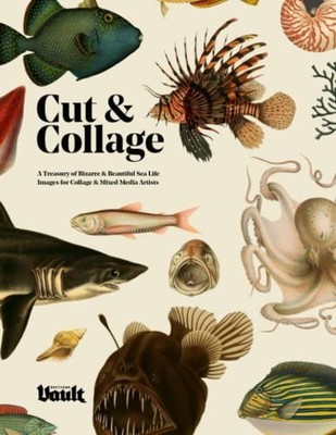 Kale James Cut and Collage (Taschenbuch)
