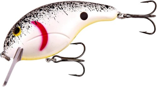25ct ACID RAIN 3" CURLY TAIL GRUBS Bass Fishing Lures Walleye Baits Trout Spots | eBay 25ct ACID RAIN 3" CURLY TAIL GRUBS Bass Fishing Lures Walleye Baits Trout Spots | eBay