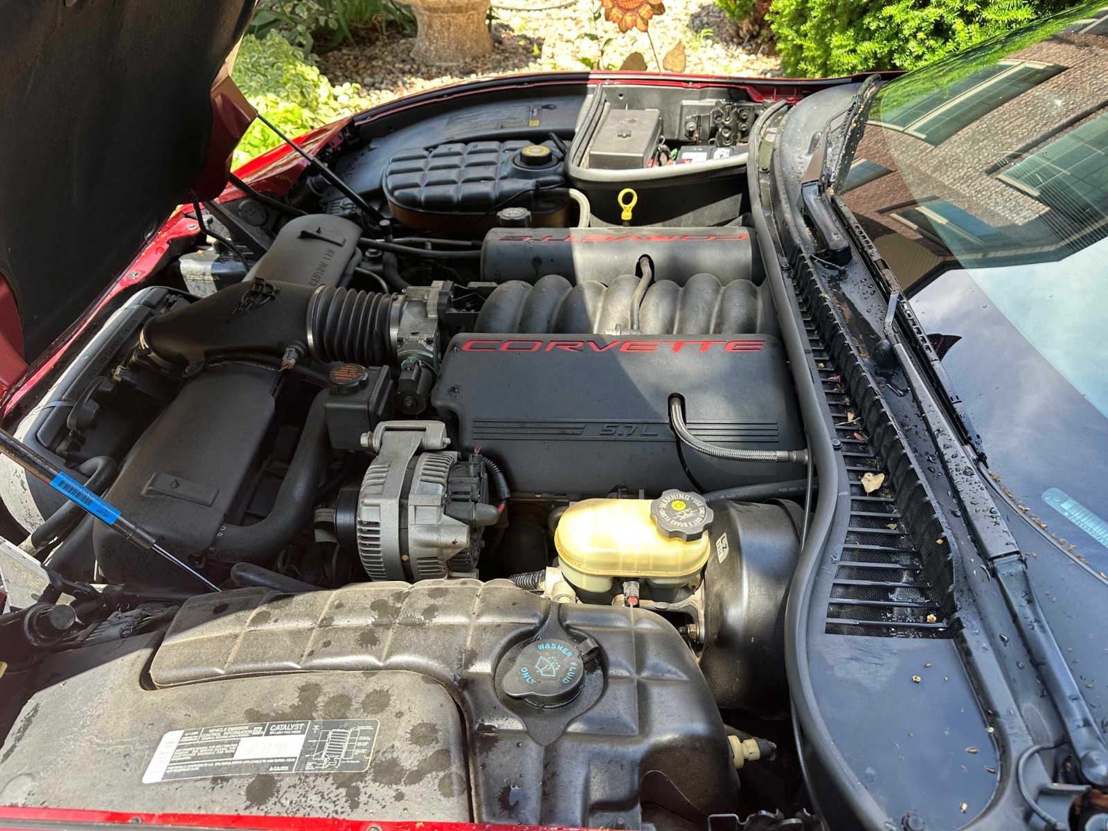 1999 Red Chevrolet Corvette   | C5 Corvette Photo 8