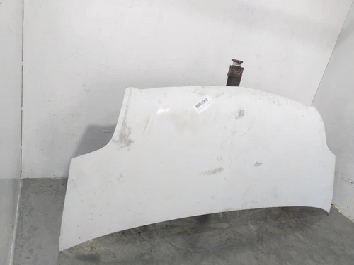 9121273 Capo para OPEL MOVANO FURGÓN/COMBI 2007 8691896 - Imagen 4 de 10