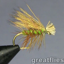 1 dozen (12) - Elk Hair Caddis - OLIVE