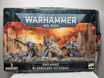 Space Marines: Bladeguard Veterans - Warhammer 40K NEW in BOX Prepainted