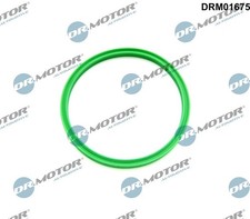 DICHTRING, LADELUFTSCHLAUCH LADELUFTKÜHLER FÜR VW - DR.MOTOR AUTOMOTIVE DRM01675