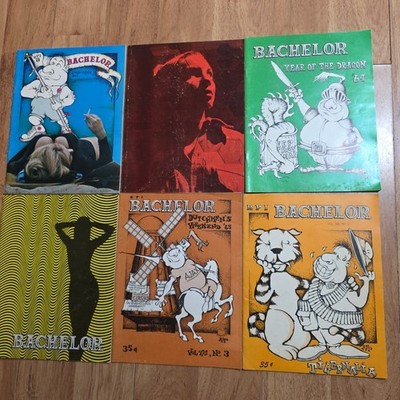 Lot Rensselaer Polytechnic Institute Troy NY BACHELOR Humor Magazine rpi 1960's