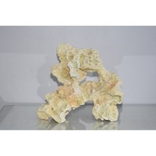 Stunning Large Detailed Coral White Ocean Rock Decoration 25 x 13 x 22cm Reduced