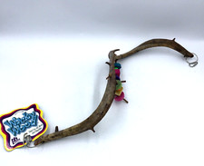 Prevue Hendryx Wacky Wood Parrot Bird Reptile Perch Play Swing Lima Tree 25"