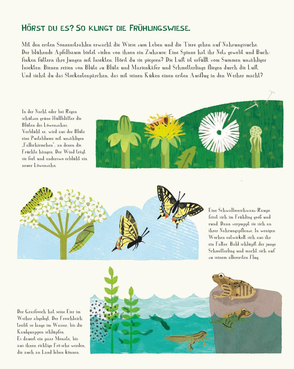 Thumbnail - So Klingt Die Welt. Mit Atmosphärischen Sounds. Kate Mclelland