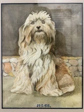 🔥 Fine Old 19th Antique Victorian FOLK Art HAVANESE Dog JIGGS Portrait Painting