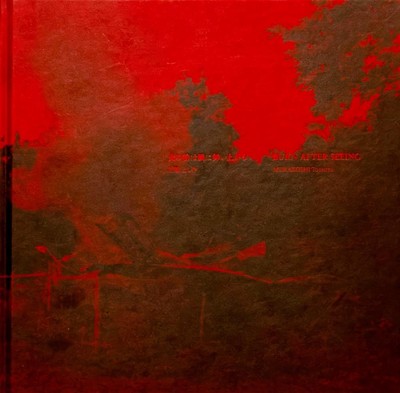 Burn After Seeing (English) Hardcover Book