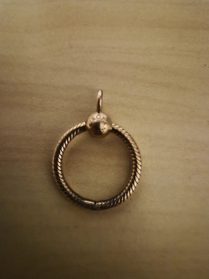 PANDORA Anhänger Moments