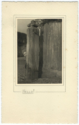 vintage citrate photo - Hello - a boy plays hide and seek - child child child 1930