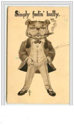 Simply feelin'bully - Smoking Dressed Dog - Bulldog - 3904