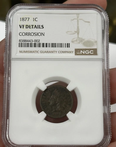 1877 Indian Head Cent NGC VF-Details - Key Date  #7940