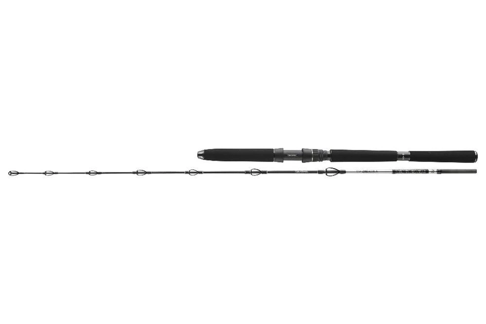DAIWA BG DEEP SEA Bootsrute Tiefseerute Heilbuttrute Naturköderrute 175cm-220cm - Bild 3 von 4