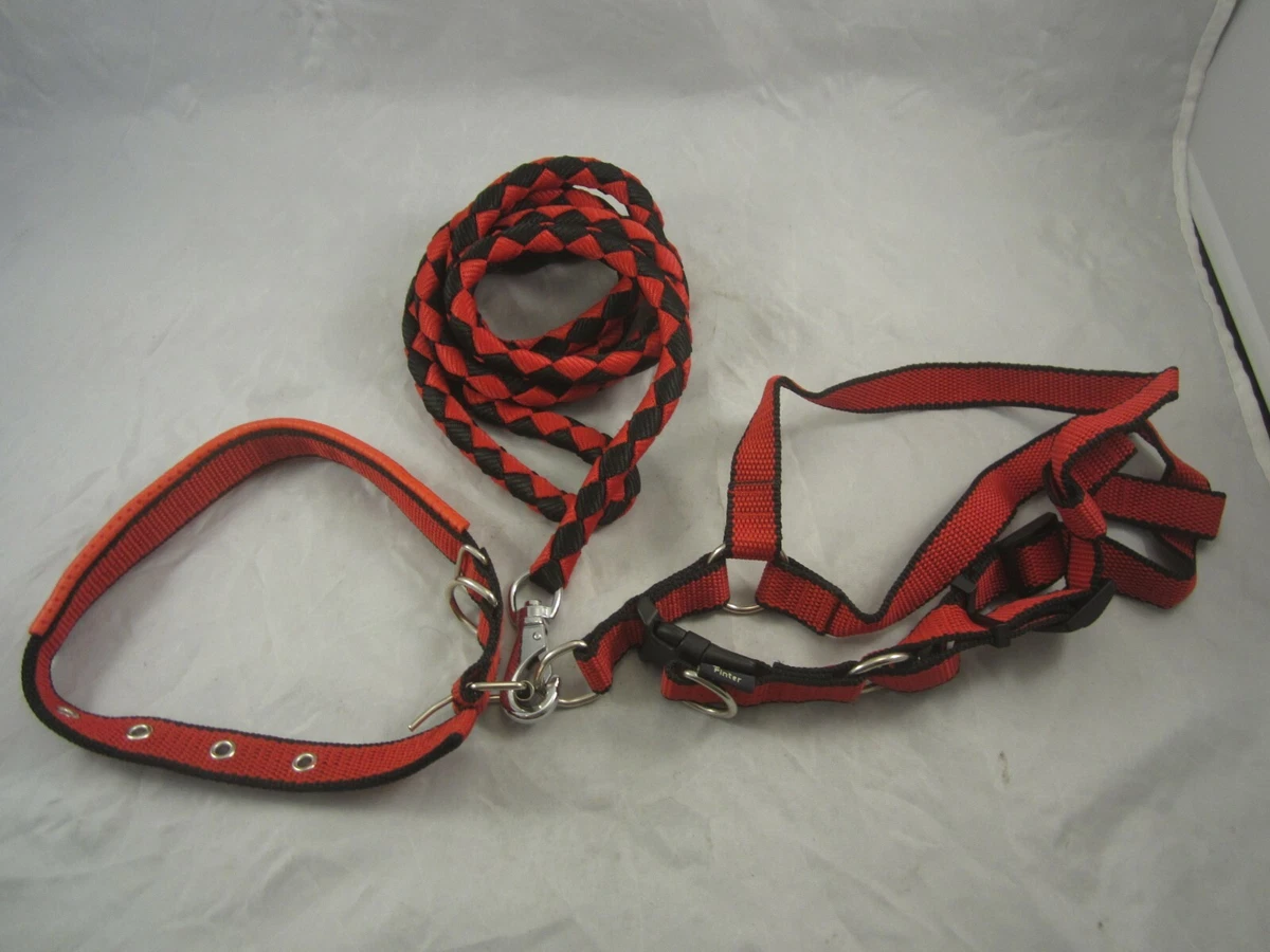 Matching dog collar harness and leash 2025