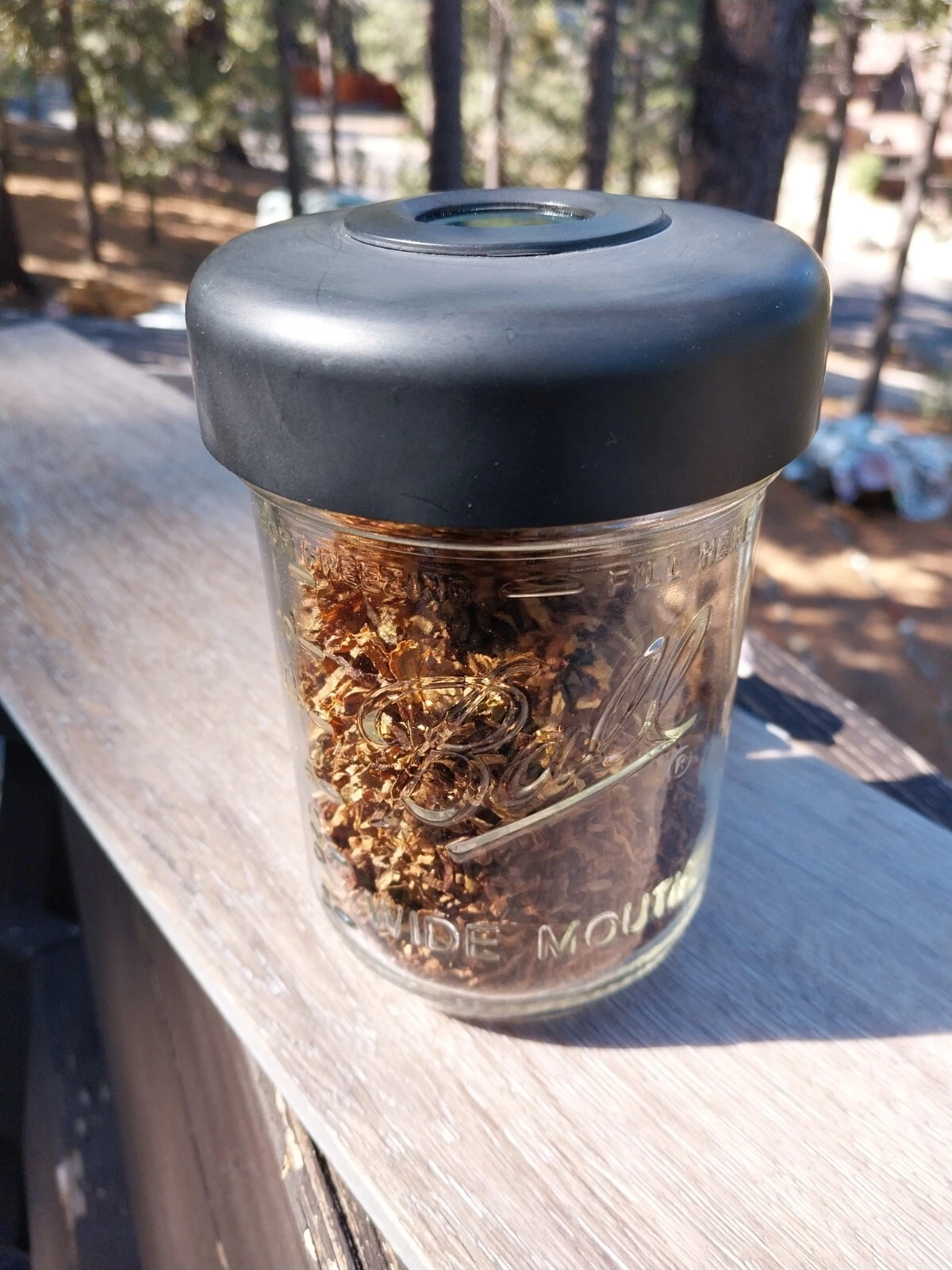 Glass Stash Storage Jar with Digital Humidity/Temperature Gauge Pint Mason Jar