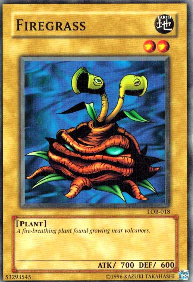 Firegrass LOB-018 X 3 Mint YUGIOH Legend of Blue-eyes White Dragon