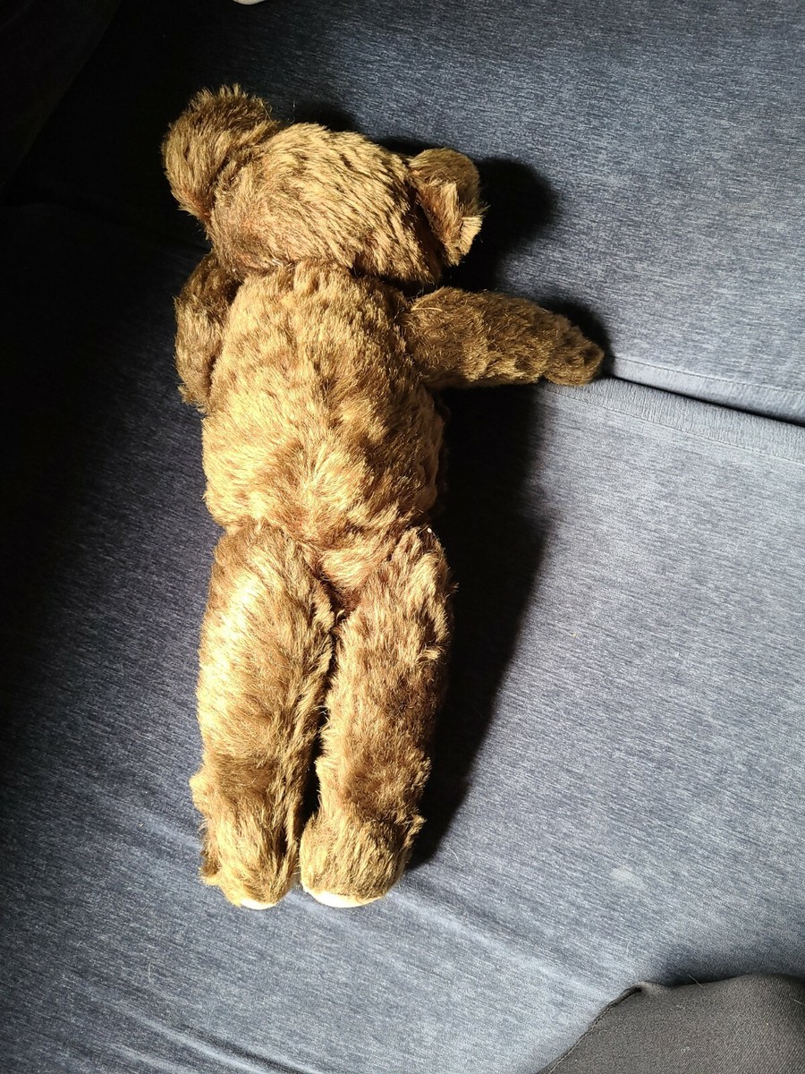 Antique Mohair early knickerbockers Teddybear Glass Eyes Metal