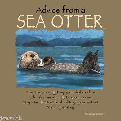 #ad #ad Sea Otter T shirt NWT Gildan Advice Water Wildlife Cotton Unisex S M L $22.22