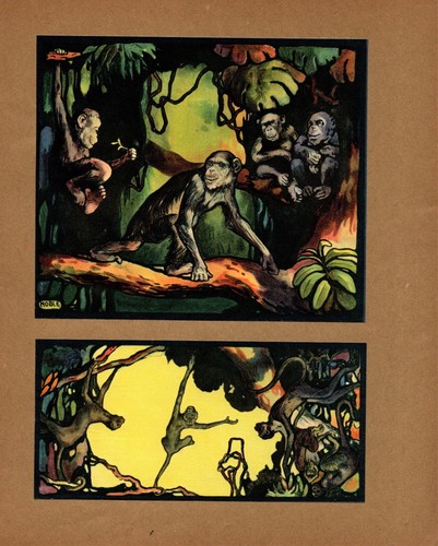 Antiguo mono chimpancé impresión ilustración arte de pared decoración Edwin noble arte 4537 - Imagen 2 de 2