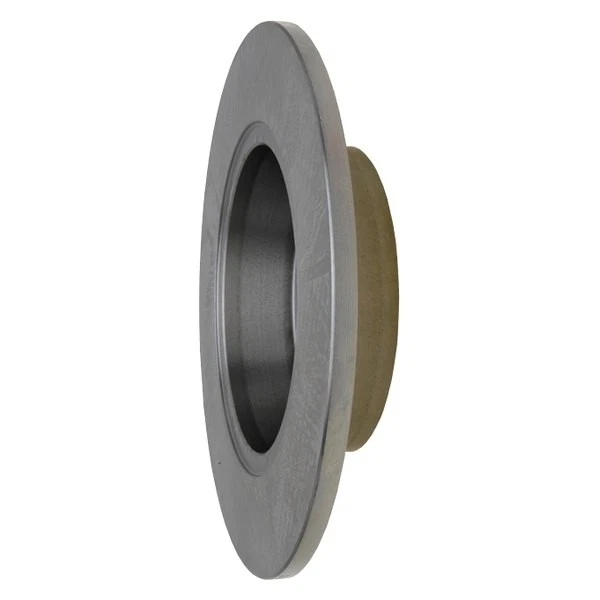 For Audi Allroad Quattro 01-05 Raybestos R-Line Plain Solid Rear Brake Rotor - Imagem 2 de 4