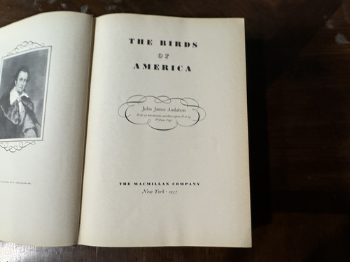The Birds of America 1937 by John James Audubon, illustrated 1st Edition - Picture 2 of 6