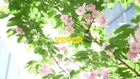 Video 1 von 1