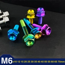 Titanium M6 Bolts Hex Flange Head 10 12 15 20 25 30 35 40 45 50 55-70mm x 1.0mm