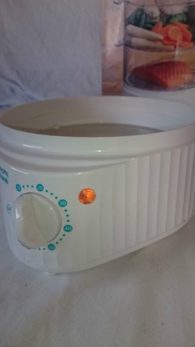 morphy richards food steamer