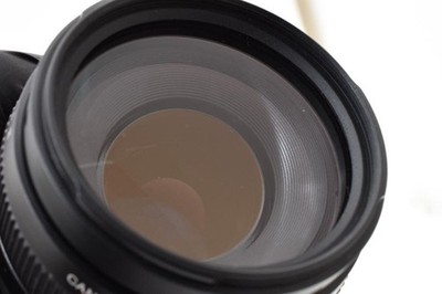 Canon EOS 7D MarkⅡ / EF 75-300mm F4-5.6 Canon EOS 7D Mark II DSLR
