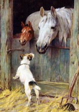 JACK RUSSELL WIRE FOX TERRIER DOG GREETING CARD CHARMING DOG AND HORSE NOTE CARD