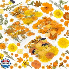 220 Pcs Dried Pressed Flowers for Resin Crafts, Real Natural Pressed Flowers