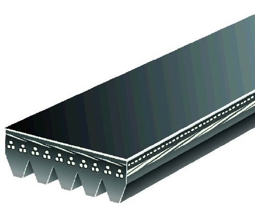 Cinturón de aire acondicionado Gates para 1999-2003 BMW M5 V8-4,9 L - Imagen 3 de 7
