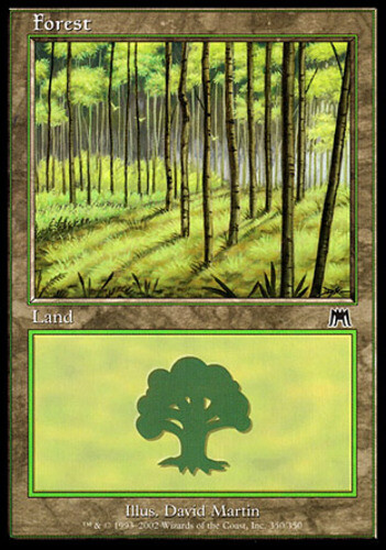 Forest (350) - Foil LP, English MTG Onslaught