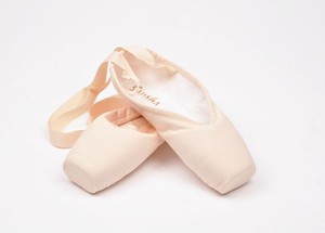 pointe ballet shoes ebay