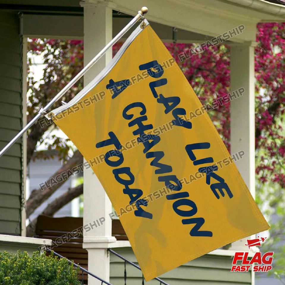 Нотр-Дам 3 X 5 флаг баннер борьбы ирландский играть как чемпион сегодня Бесплатная доставка - Изображение 3 из 4