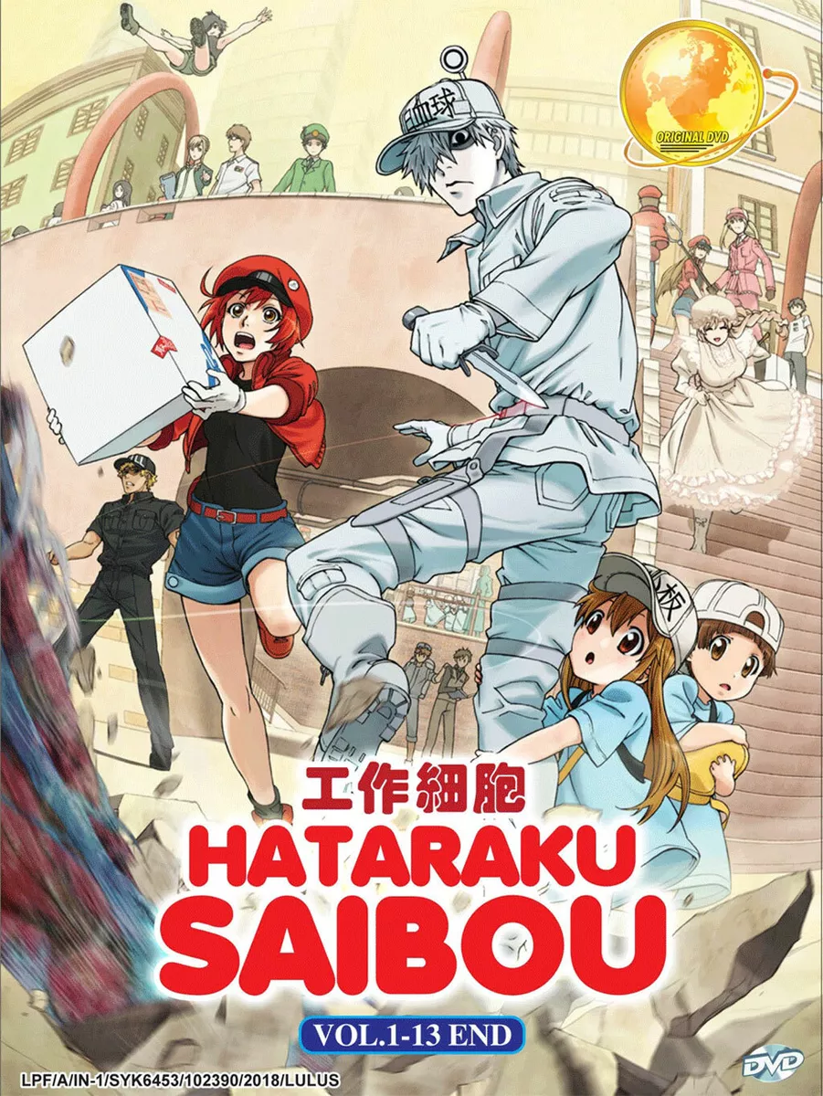 Hataraku Saibou (Cell at Work) DVD Vol. 1-13 End Anime