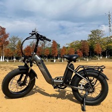 20 "e Bike Fatbike FAFREES FF20 Polar Klapprad Elektrofahrrad 24AH Hydraulisch