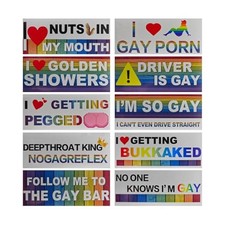 10PCS Magnetic Car Bumper Sticker, Magnet Reflective Funny Pride Prank Styleb