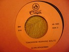 CUCA 45 RECORD/ ALVIN STYCZYNSKI/ TOMORROW MORNING WALTZ/MOUNTAINEER POLKA  — photo 1