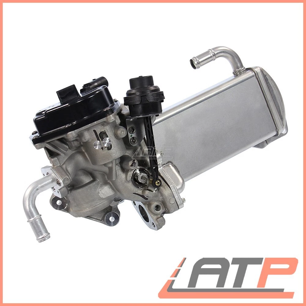 Vw t5 egr cheap valve replacement cost