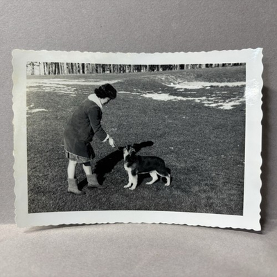 #ad Vintage Found Photo Woman Feeding Dog Treat Puppy Husky In Field 1960s $3.99