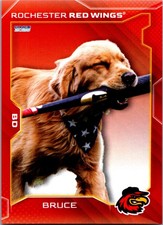 Bruce 2025 Choice Rochester Red Wings #25 Rochester Red Wings