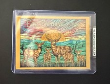 Dave Matthews Band Alpine Valley Wisconsin WI 06/21/24 Trading Card Slater