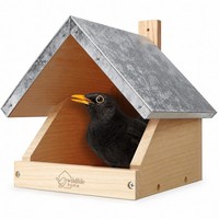 Wildlife Home Amsel Nistkasten Halboffen Aus Verschraubtem Massiv-Holz HalbhöHle