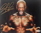 Dennis Rodman Signed METALLIC Photo 8x10  NWO Bulls Worm Autograph HOF JSA HOGAN