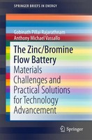 Gobinath Pillai Rajarathnam (U. A.) | The Zinc/Bromine Flow Battery | Buch | Xxi