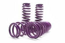 D2 Racing PRO Lowering Springs 01-05 Honda Civic